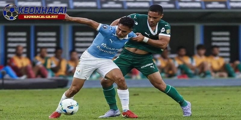 Soi kèo nhà cái Palmeiras vs Porto